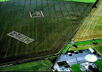 aerial view of "binary code" crop circles